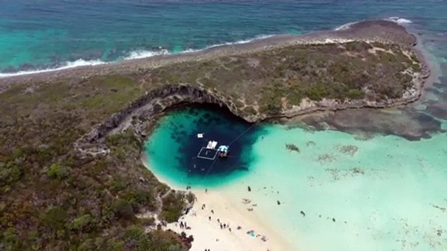 Apnée : record pour Alexey Molchanov et sa plongée à 118 mètres en poids constant bi-palmes
