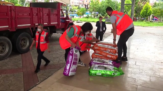 ORDU - Altınordu Belediyesi Arhavi'deki sokak hayvanlarına mama desteğinde bulundu