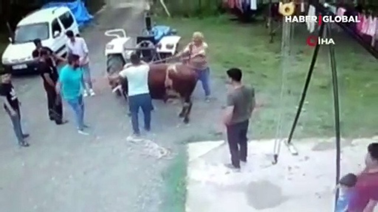 Samsun'da kurbanlık boğanın saldırdığı yaşlı adam hastanede hayatını kaybetti