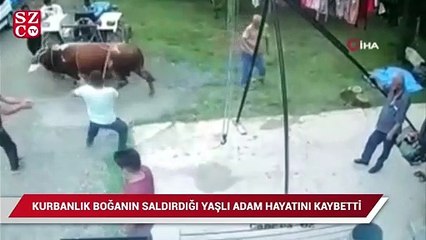 Kurbanlık boğanın saldırdığı yaşlı adam hayatını kaybetti
