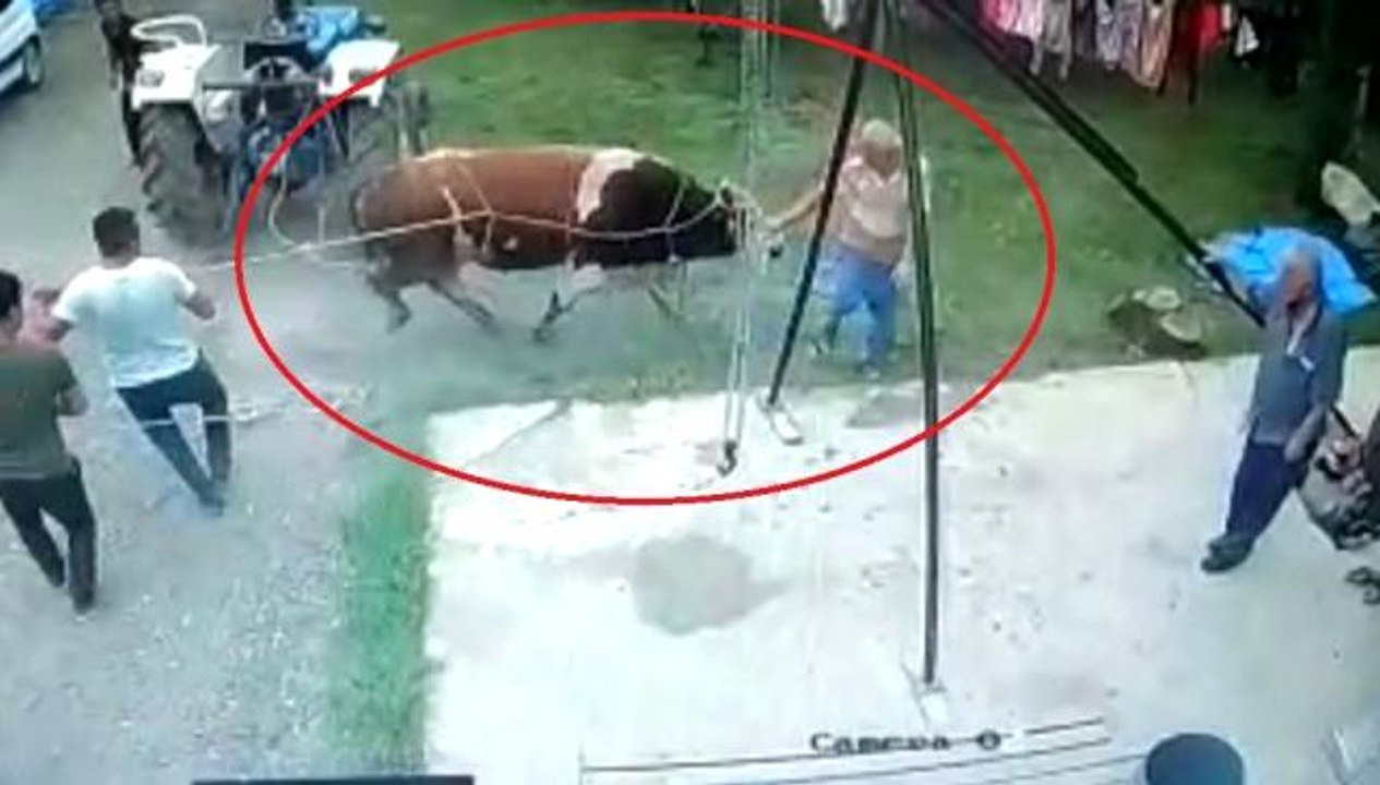 Kurbanlık boğanın saldırdığı yaşlı adam, hayatını kaybetti