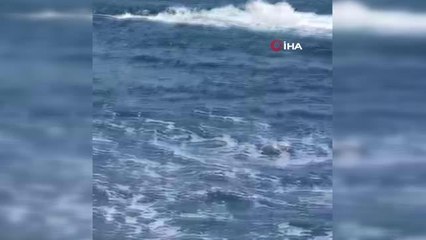 Bodrum'da facianın eşiğinden dönüldü...Kaptansız kalıp daireler çizen bot karaya vurdu