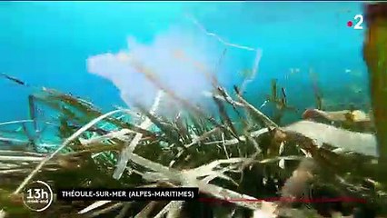 Tourisme : la plage de Théoule, un trésor caché