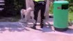 Trafik polisi, sokak köpeğine elleriyle su içirdi
