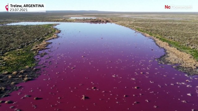 Фиолетовое озеро в Аргентине