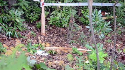 Kardeşler arasında arazi anlaşmazlığı kavgası: 3 yaralı