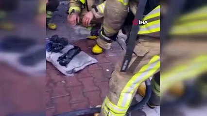 Esenyurt’ta korkutan yangın: Mahsur kalan 3 yavru kedi su tutularak kurtarıldı