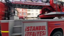 İSTANBUL - İtfaiye erleri, yangın çıkan binada dumandan etkilenen kedileri kurtardı
