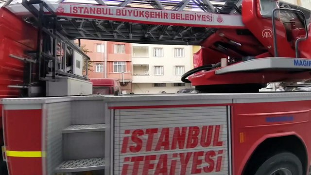 İSTANBUL - İtfaiye erleri, yangın çıkan binada dumandan etkilenen kedileri kurtardı