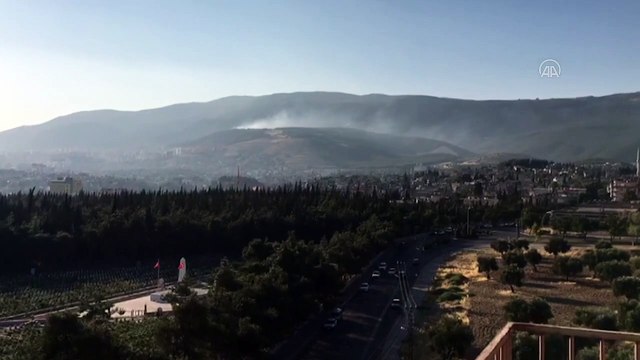 KAHRAMANMARAŞ - Ormanlık alanda çıkan örtü yangını söndürüldü