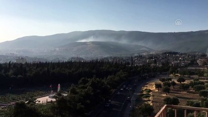 KAHRAMANMARAŞ -  Ormanlık alanda çıkan örtü yangını söndürüldü
