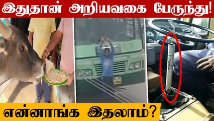 hotelக்கு தினமும் புரோட்டா உண்ண வரும் காளை | Oneindia Tamil