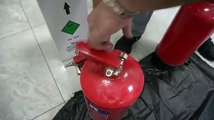 WhatsApp Video 2021-07-31 at 4.41.01 PM