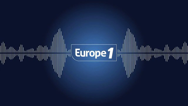 Avec les vacances, les refuges SPA pleins d'animaux de propriétaires qui n'ont pas anticipé