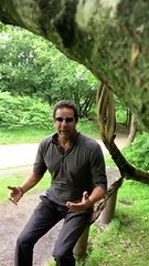 Its wasim akram  who can deliver 6 boll in different