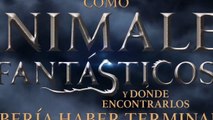 Como Animales Fantásticos y Donde Encontrarlos Debería Haber Terminado
