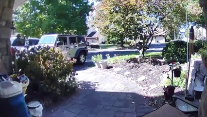 Amusement Parks AREN'T for EVERYONE!  | Funny Pranks and Fails | AFV 2021