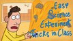 Easy Science Experiment Tricks | Cartoon Animation | 1min cartoon