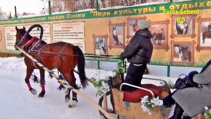 Islamic Economic System | Episode 1 | Forex School BD