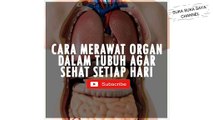 Tips Merawat Organ Dalam Tubuh -- Tips for Caring for Organs in the Body