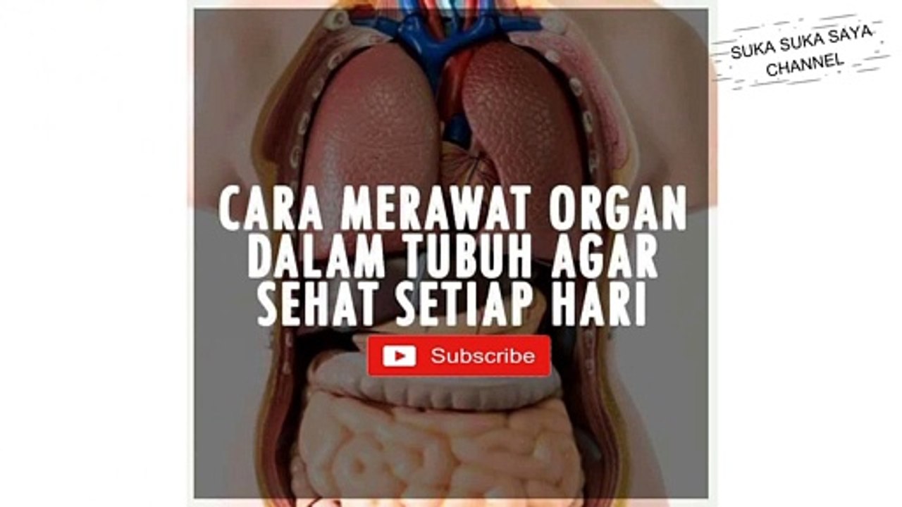Tips Merawat Organ Dalam Tubuh -- Tips for Caring for Organs in the Body