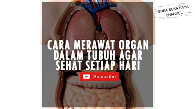 Tips Merawat Organ Dalam Tubuh Tips for Caring for Organs in the Body