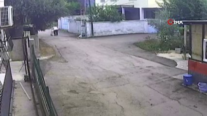 Yaşlı kadının altın kolyesini çalan 3 kardeş tutuklandı