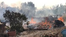 Santu Lussurgiu (OR) - Vasto incendio boschivo (25.07.21)