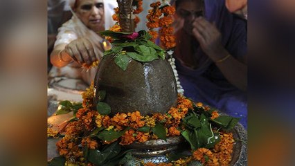 Sawan 2021: बेलपत्र न मिलें तो शिवलिंग पर चढ़ाएं ये चीज, महादेव होंगे प्रसन्न । Boldsky
