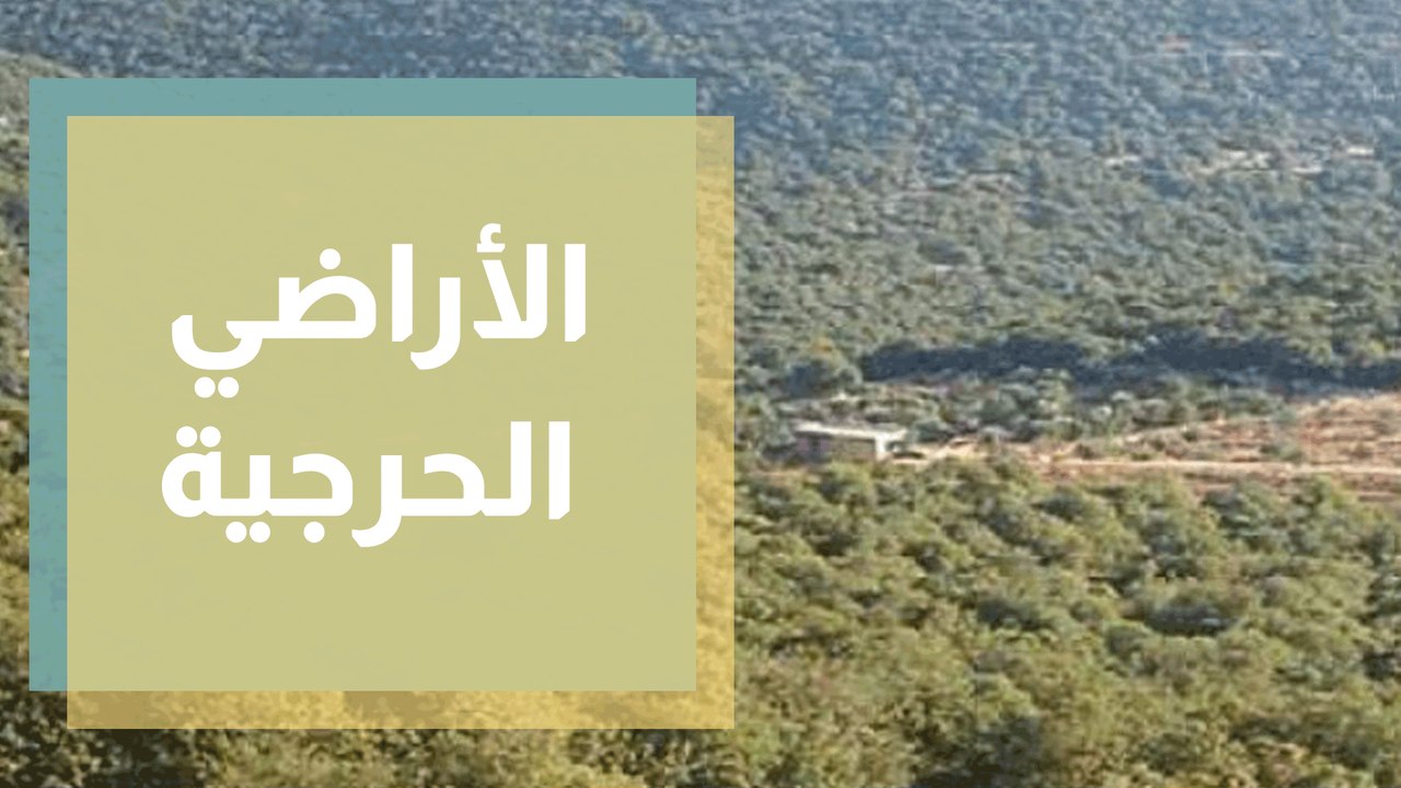 1% مساحة الأراضي الحرجية والاعتداء عليها مستمر ... الأسباب والحلول