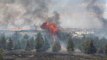 Son Dakika: Ankara'da Atatürk Orman Çiftliği'nde korkutan yangın! 1 kişi kundaklama iddiasıyla gözaltına alındı