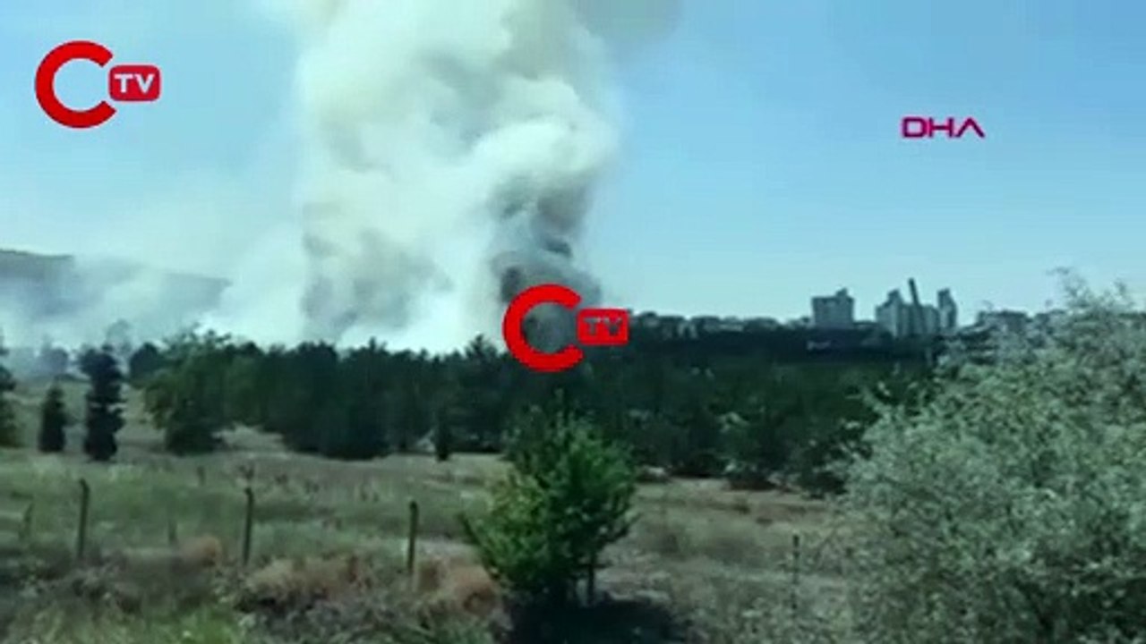 Son dakika... Atatürk Orman Çiftliği arazisinde yangın