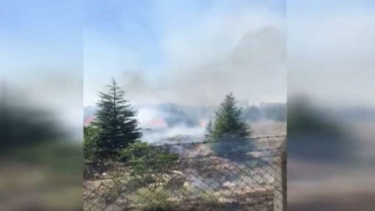 Atatürk Orman Çiftliği arazisinde yangın