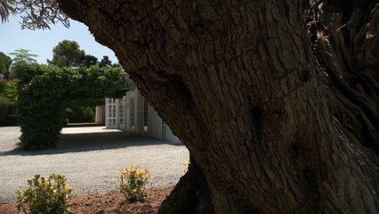 Universo Santi ofrece carta en braille y plantilla de diversidad funcional en pro de la inclusión