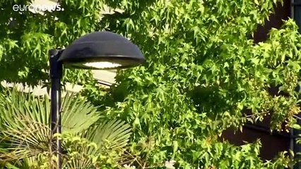 Apagón en España por un incidente que ha cortado la línea de alta tensión que llega desde Francia