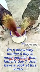 Father vs. Mother: Hilarious Differences You Must See! 🍗