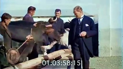 Télécharger la video: Gazi Mustafa Kemal Atatürk: Niçin Boşa Akıyor?