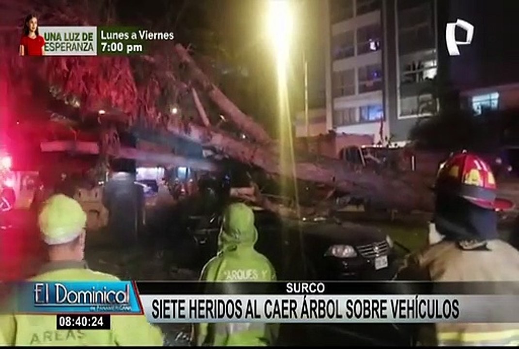 Surco: seis personas resultaron heridas luego de que árbol cayera sobre dos autos