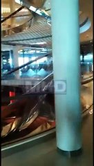 Gletser Alaska Holland America lines|| Gunung Es Alaska