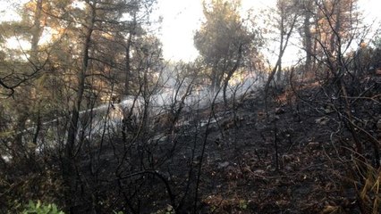 Son dakika 3. sayfa: Soma'daki orman yangını kontrol altına alındı