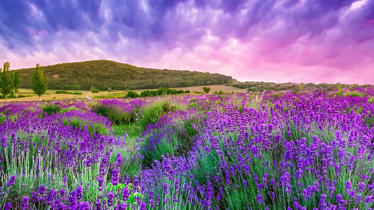 Deep Sleep Music, Sleep Meditation, Calm Music, Relaxing Music, Fall Asleep, Relax.