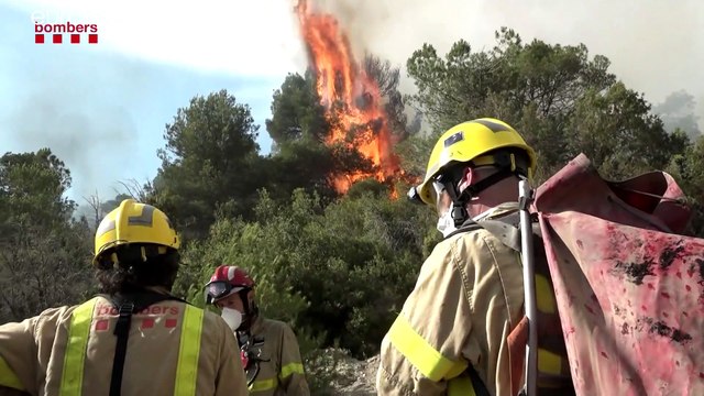 Masivos incendios forestales en Cataluña y Andalucía durante el fin de semana