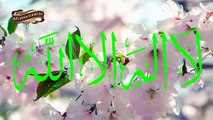 Arapça İlahi - LA İLAHE İLLALLAH - Küçük Emre