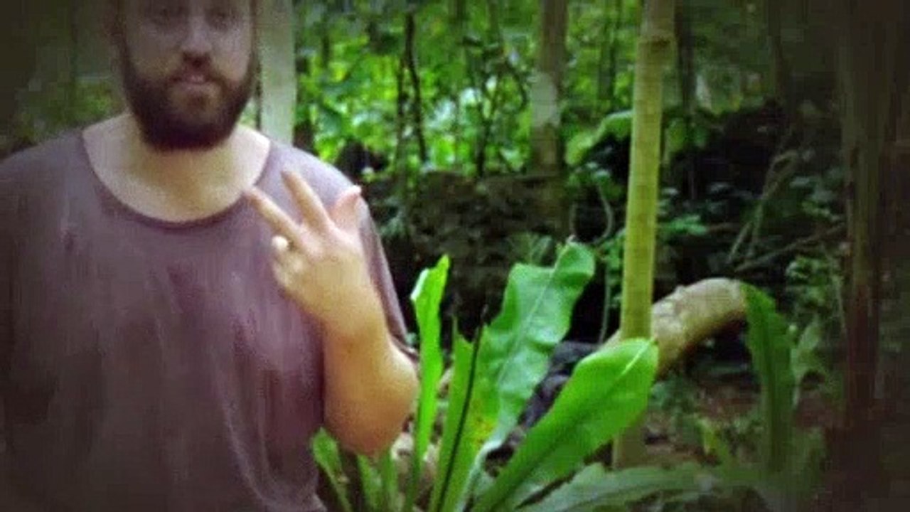 Survivor AU S07E19