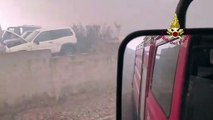 Incendi Sardegna, il salvataggio degli animali - Video
