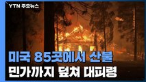 미국 산불 민가까지 덮쳐...85곳 산불 서울 면적 9배 넘게 불타 / YTN