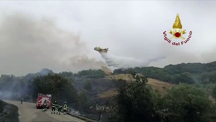 Incendi Sardegna, Canadair in azione - Video