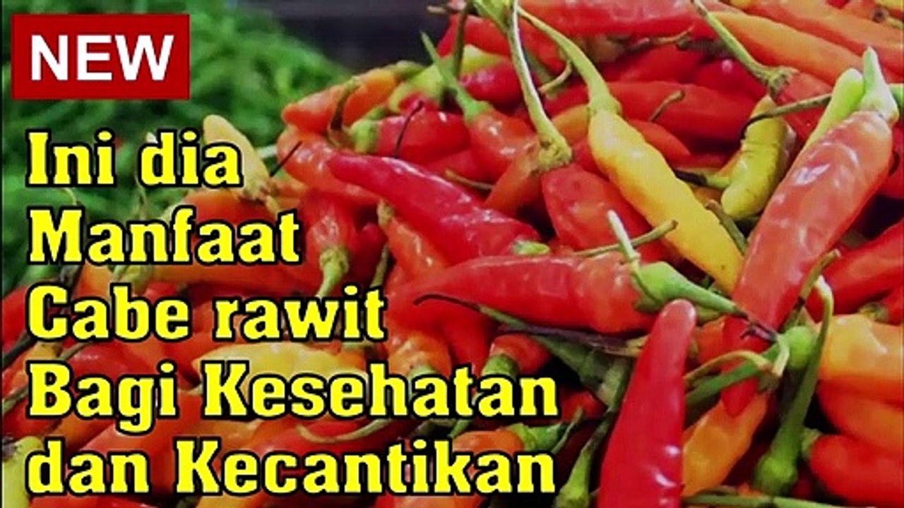 Manfaat Cabe Rawit Bagi Kesehatan dan Kecantikan