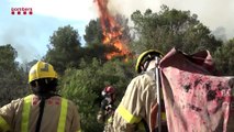 Waldbrände wüten in Spanien - Feuer in Katalonien außer Kontrolle
