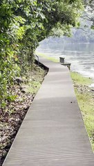 Jungle walk in Singapore 3 | Anthony S Casey Singapore